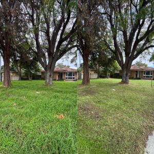 Perth Garden Magic - Canning Vale Gardening - Lawn Mowing